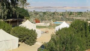a group of white tents with a lake in the background at Tunis Tone Ecolodge & Campsite in Fayoum