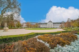 A garden outside Unforgettable old town Apartment
