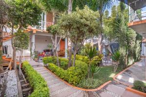 a garden in front of a house with trees and bushes at Casa divertida ideal para grupos grandes con o sin niños in Tequisquiapan