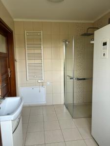 a bathroom with a shower and a sink at Domek nad jeziorem w Świekatowie in Świekatowo +16 photos
