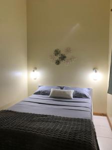 a bedroom with a bed with two lights on the wall at Yvoty miní in Puerto Iguazú