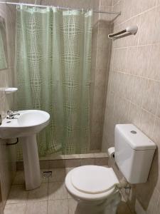 a bathroom with a toilet and a sink and a shower at Yvoty miní in Puerto Iguazú