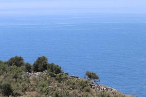 Fotografie z fotogalerie ubytování Ionian Manor Estate 2 v destinaci Palermo