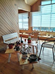 Fotografie z fotogalerie ubytování Habitacion Arrayan v destinaci Castro