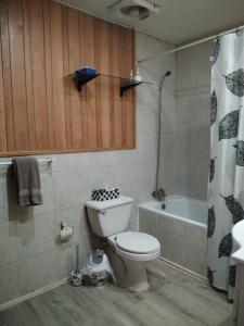 Koupelna v ubytování Habitación Coigue