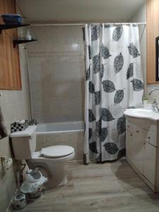 Koupelna v ubytování Habitación Coigue