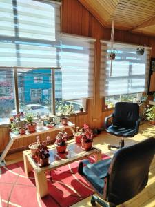 Posezení v ubytování Habitación Coigue