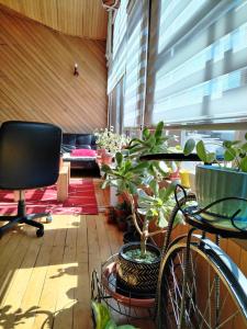 Fotografie z fotogalerie ubytování Habitación Coigue v destinaci Castro