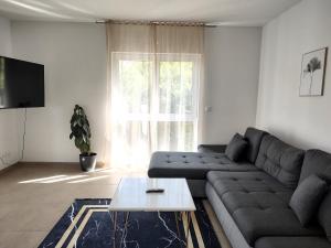 ホーフハイム・アム・タウヌスにあるHotel Valley of Business Frankfurt-Airport - GREY LABEL APARTMENTのソファとコーヒーテーブルのあるリビングルーム