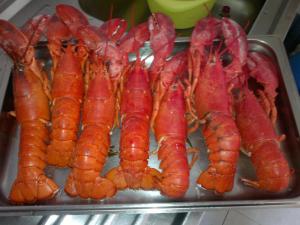 a tray of lobsters sitting on top at Domus Viatoris in Sahagún