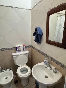 a bathroom with a toilet and a sink and a mirror at Victoria Apart in Esquina +11 photos