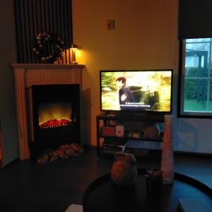 TV a/nebo společenská místnost v ubytování Vienna