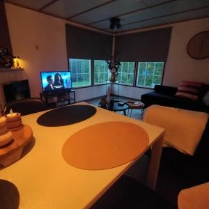 TV a/nebo společenská místnost v ubytování Vienna