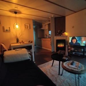 TV a/nebo společenská místnost v ubytování Vienna