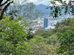 Blick auf eine Stadt von einem Hügel mit Bäumen in der Unterkunft Zona de Camping con casa de campo in San Salvador