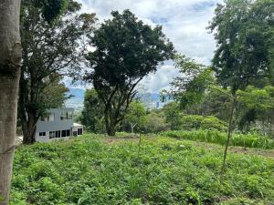 ein Haus mitten auf einem Feld mit Bäumen in der Unterkunft Zona de Camping con casa de campo in San Salvador