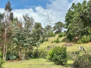 Vườn quanh ACOGEDOR REFUGIO PRiVADO