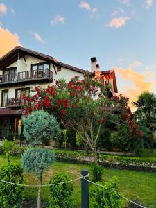 Zahrada ubytování Cevizdibi Hotel
