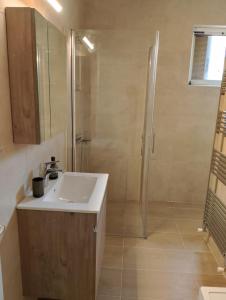 a bathroom with a sink and a shower at Villa Anna in Mitrópolis