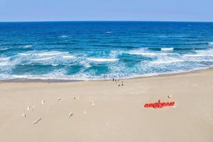 a flock of seagulls on a beach near the ocean at Samcheok Hideoksan Private Pool Villa in Samcheok