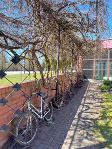 Jízda na kole v ubytování Park Hotel Kekava nebo okolí