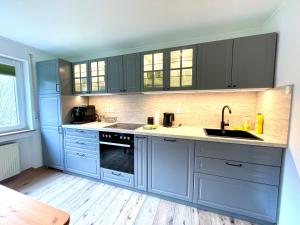 a kitchen with blue cabinets and a sink at Ferienwohnung Schwarzwaldnest im Heimbachtal in Loßburg