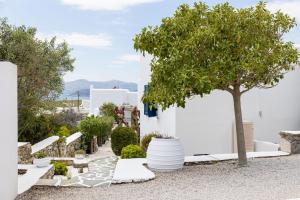 Un jardín con un árbol y edificios blancos. en Sand Beach House, Naxos Stelida, en Stelida