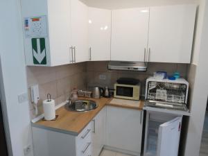 Kuchyň nebo kuchyňský kout v ubytování Aqua Lux Apartman