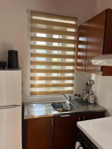 a kitchen with a sink and a white refrigerator at Salitzo Apartment Palairos in Paleros
