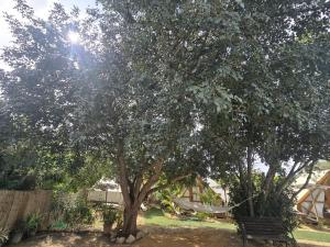 Zahrada ubytování Boho Glamping