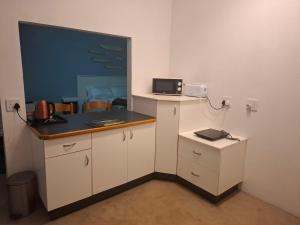 克卢夫Lovely 1 Queen bed, 1 Sleeper couch Self-catering cottage的厨房配有微波炉