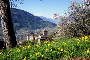 ティローロにあるGarni Praidlerhofのギャラリーの写真