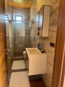 Koupelna v ubytování 1 bedroom close to bus station and MALL 200 mb wifi + 17 fotografií