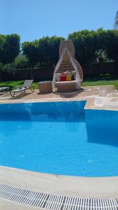 Bazén v ubytování premium park apart otel nebo v jeho okolí
