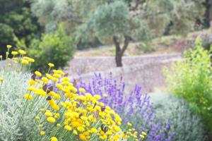 A garden outside Asplathia Villas Lefkada