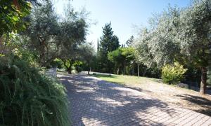 A garden outside Asplathia Villas Lefkada