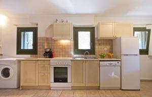 A kitchen or kitchenette at Asplathia Villas Lefkada