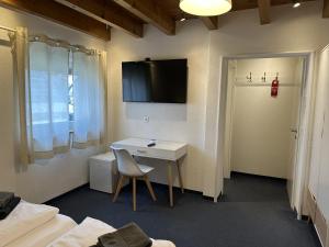 TV a/nebo společenská místnost v ubytování Gästehaus Elzblick 2