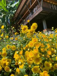Ein paar gelbe Blumen vor einem Gebäude in der Unterkunft Tiny House on the Hill Farmstay in Ban Kat Khi Lek + 32 Fotos
