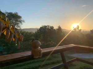 ein Teddybär sitzt bei Sonnenuntergang auf einer Bank in der Unterkunft Tiny House on the Hill Farmstay in Ban Kat Khi Lek