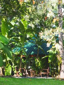 einen Park mit Bänken, Bäumen und Blumen in der Unterkunft Tiny House on the Hill Farmstay in Ban Kat Khi Lek