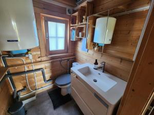 a bathroom with a sink and a toilet and a window at Le Chalet « au Fil de l’eau » in Véreux