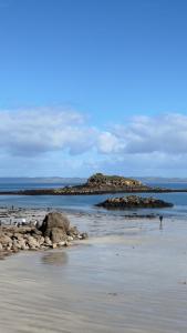 a group of birds standing on the rocks on a beach at Chambre cosy aux Sables Blancs in Douarnenez