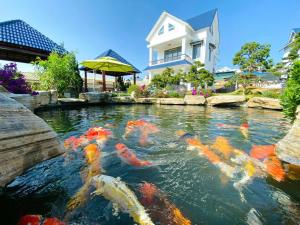 un étang rempli de cerfs-volants devant une maison dans l'établissement Villa &Coffee Garden, à Xuan An 17 autres photos