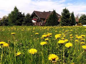 Vonkajšia záhrada v ubytovaní Tajemniczy Ogród Szczytna - Bed & Breakfast