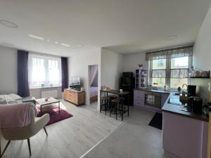 a large living room with a kitchen and a living room at Apartament Lawendowy in Skarżysko-Kamienna