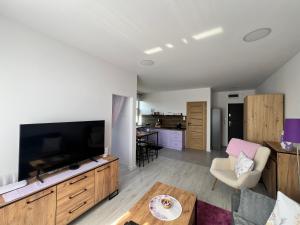 a living room with a large flat screen tv at Apartament Lawendowy in Skarżysko-Kamienna +13 photos
