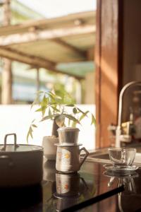 einen Glastisch mit einem Topf und einer Pflanze darauf. in der Unterkunft Mit Homestay Phú Quý in Cu Lao Thu