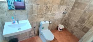 a bathroom with a white toilet and a sink at Duplex 2bhk Luxury Villa Near Baga in Arpora +15 photos