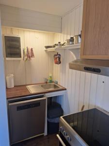 Fotografie z fotogalerie ubytování Leiligheten v destinaci Fyresdal